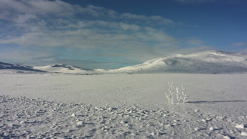 Trondheim – Lillehammer Atemberaubende Landschaft auf 1.000 m.