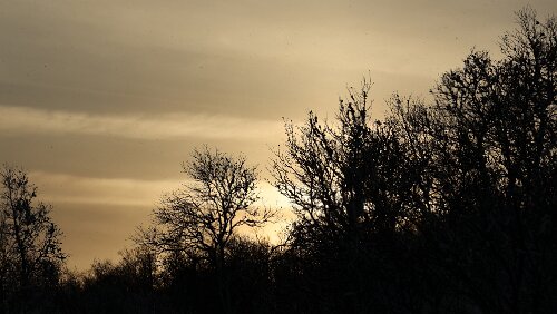 Lillehammer – Haukeli Schneeflocken schwirren durch die Luft.