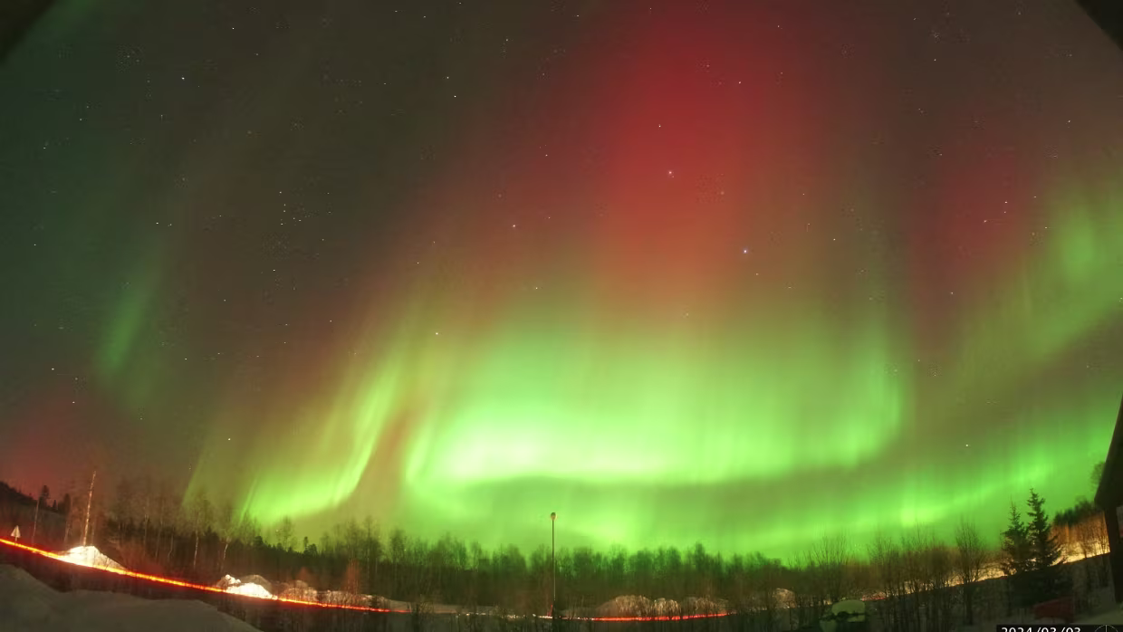 Besondere und kuriose Einzelaufnahmen
