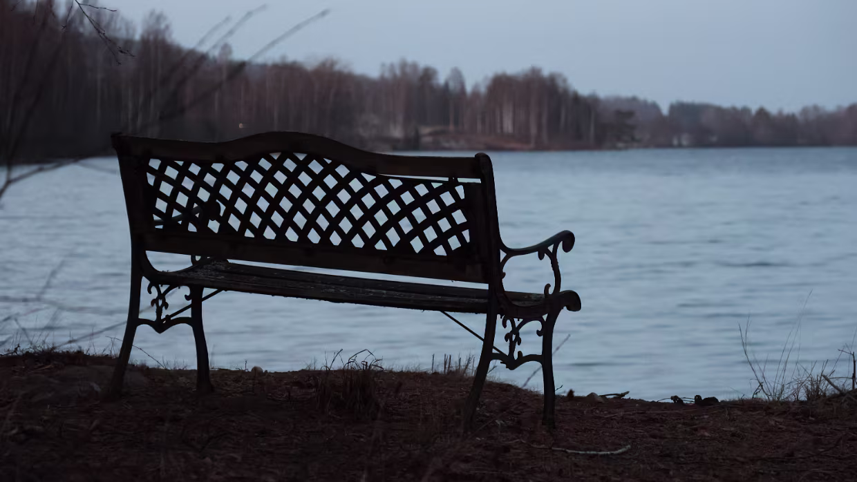 25.01.2025 Helsingør – – Helsingborg – Sunne