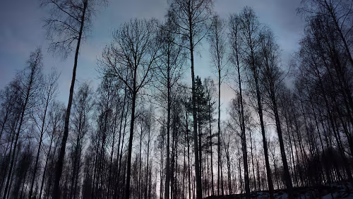 Helsingør – – Helsingborg – Sunne Das letzte Licht wird eingefangen.