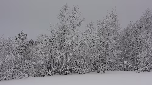 Vuollerim – Tromsø Die letzten Kilometer in Schweden.