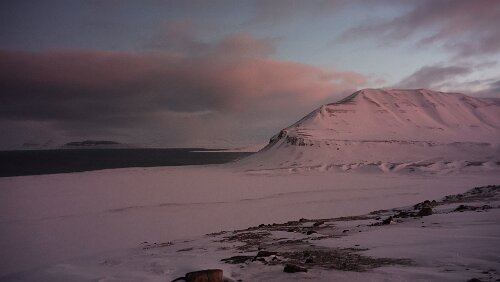Snøscootertur til Elveneset Am Endpunkt der heutigen Tour angekommen. Blick in Richtung Osten.