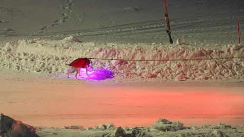 Longyearbyen Die arktische Methode einen Hund Gassi zu führen. Teil 1: Der Hund...