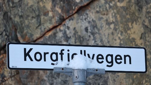 Bodø – Saltfjellet – Mosjøen Am Knutlia rasteplass.