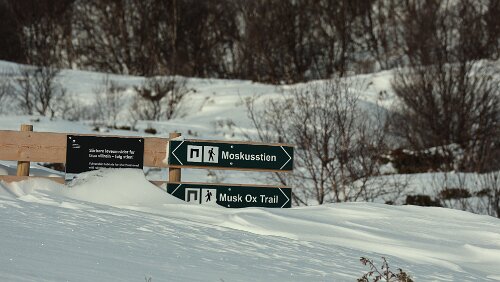 Trondheim – Lillehammer Auf dem „Moskusstien“, so weit es die Verhältnisse zulassen.