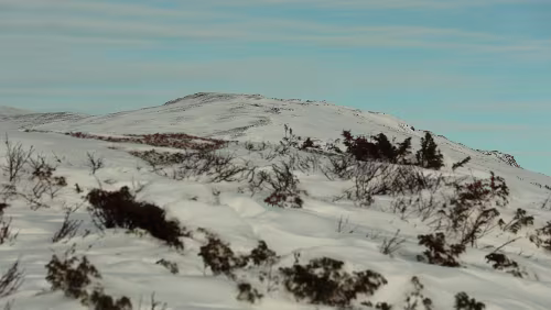 Trondheim – Lillehammer Auf dem „Moskusstien“, so weit es die Verhältnisse zulassen.