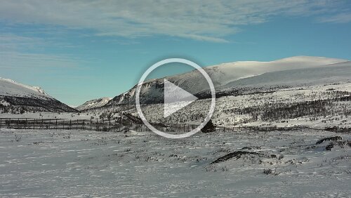 Trondheim – Lillehammer Noch ein paar Schritte in die andere Richtung am Parkplatz.