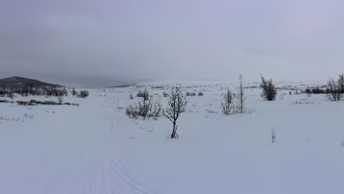 Dagali Ein kleiner Spaziergang entlang einer Loipe direkt vor dem Hotel „Torsetlia“. Panorama