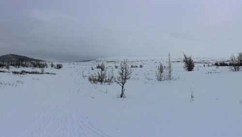 Dagali Ein kleiner Spaziergang entlang einer Loipe direkt vor dem Hotel „Torsetlia“. Panorama