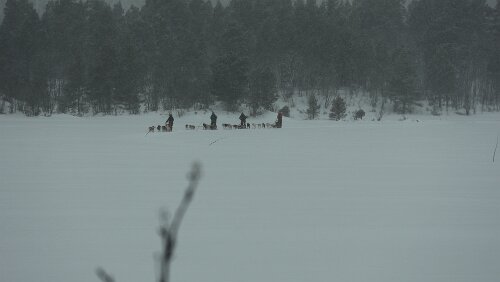 Lillehammer – Dagali Ahh, die Hundeschlittengruppen kehrt schon wieder zurück.