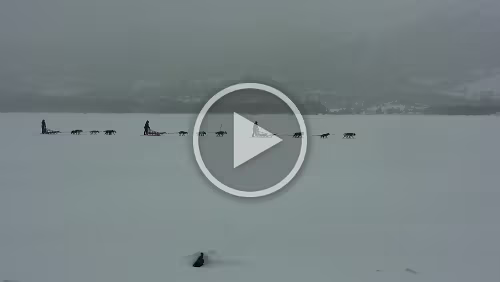 Lillehammer – Dagali Ahh, die Hundeschlittengruppen kehrt schon wieder zurück.