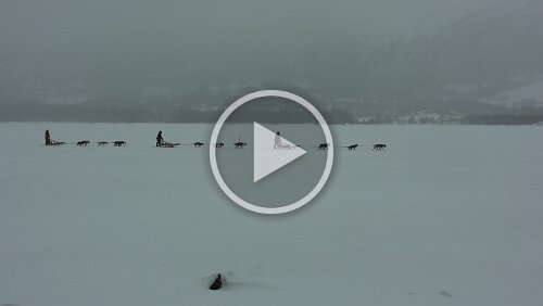 Lillehammer – Dagali Ahh, die Hundeschlittengruppen kehrt schon wieder zurück.