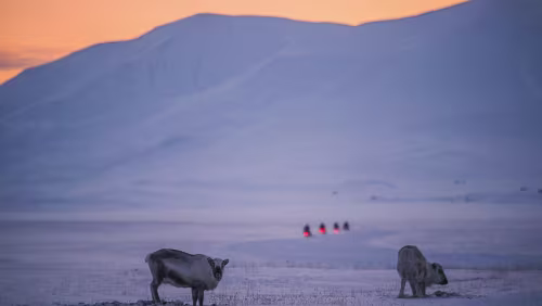 Electric Snowmobile Safari to Advent Lodge Electric Snowmobile Safari to Advent Lodge