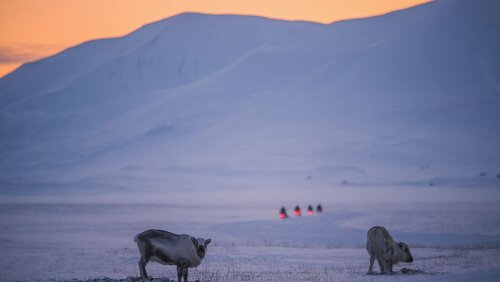Electric Snowmobile Safari to Advent Lodge Electric Snowmobile Safari to Advent Lodge