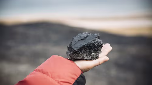 Life in Coal Mine Life in Coal Mine