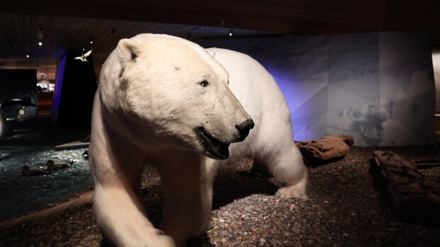 27.11.2025 Longyearbyen – Taubanesentralen - Guidet tur