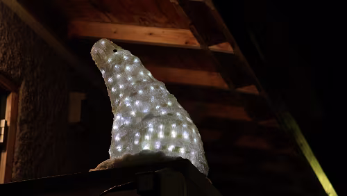 Longyearbyen Der Eingang zum Tierarzt.