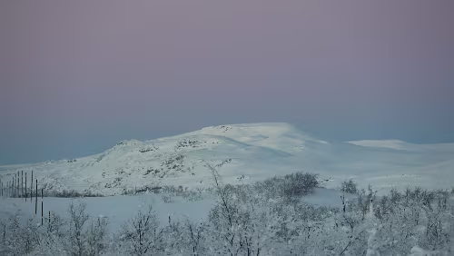Jokkmokk – Nordkjosbotn Im Grenzgebiet von Suomi und Norge. Es ist windstill und sehr frostig.
