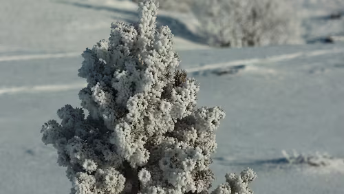 Trondheim – Lillehammer