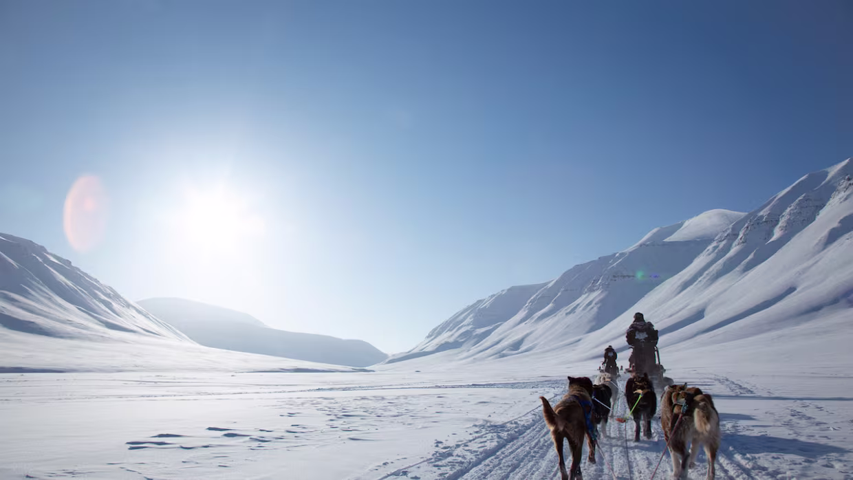 Programm 2026/01 Svalbard — Angebotene Ausflüge | Gestrichelte Ausflüge habe ich bereits unternommen. "use strict"; let map =...
