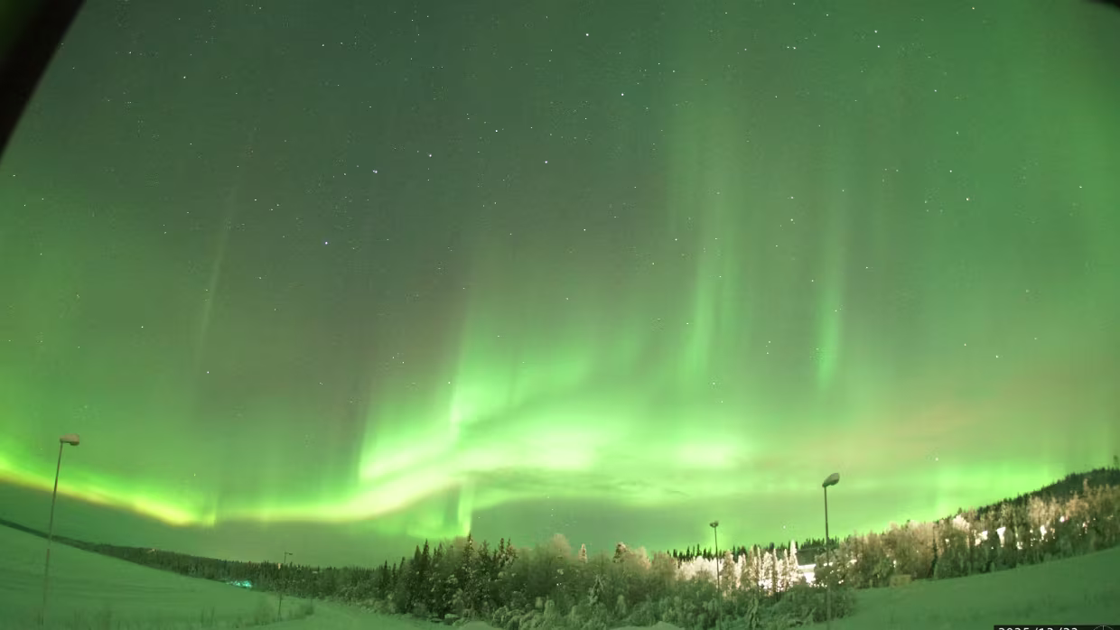 Besondere und kuriose Einzelaufnahmen
