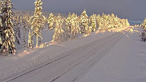 NO - 2020.01.28 #07 - Vegvesen - E6 Namsskogan-20251123-1152