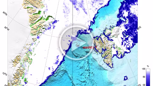 Eiskarten Meereiskonzentration Spitzbergen und Grönlandsee