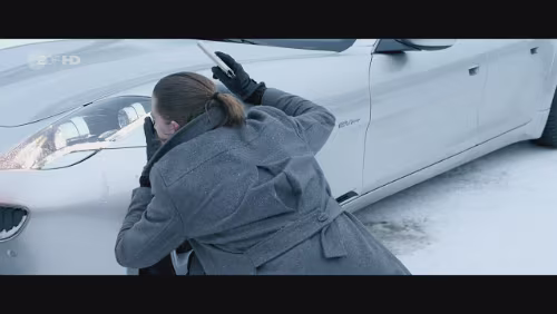 „Einer nach dem anderen“ Ein Fisker Karma.