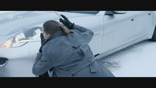 „Einer nach dem anderen“ Ein Fisker Karma.