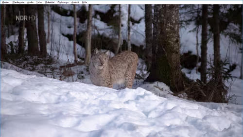 NDR - Winterreise zum Polarkreis