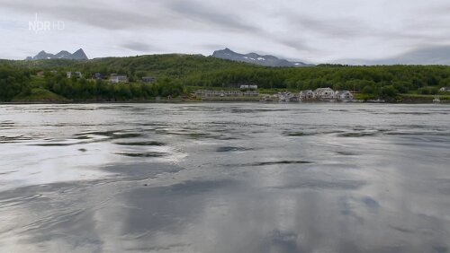 Norwegens Sehnsuchtsstraße Meine Unterkunft im Februar 2018‚ Saltstraumen Brygge‘