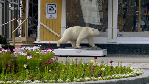 Norwegens Sehnsuchtsstraße Tromsø