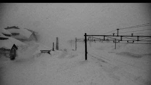 Finse Fettes Schneegestöber