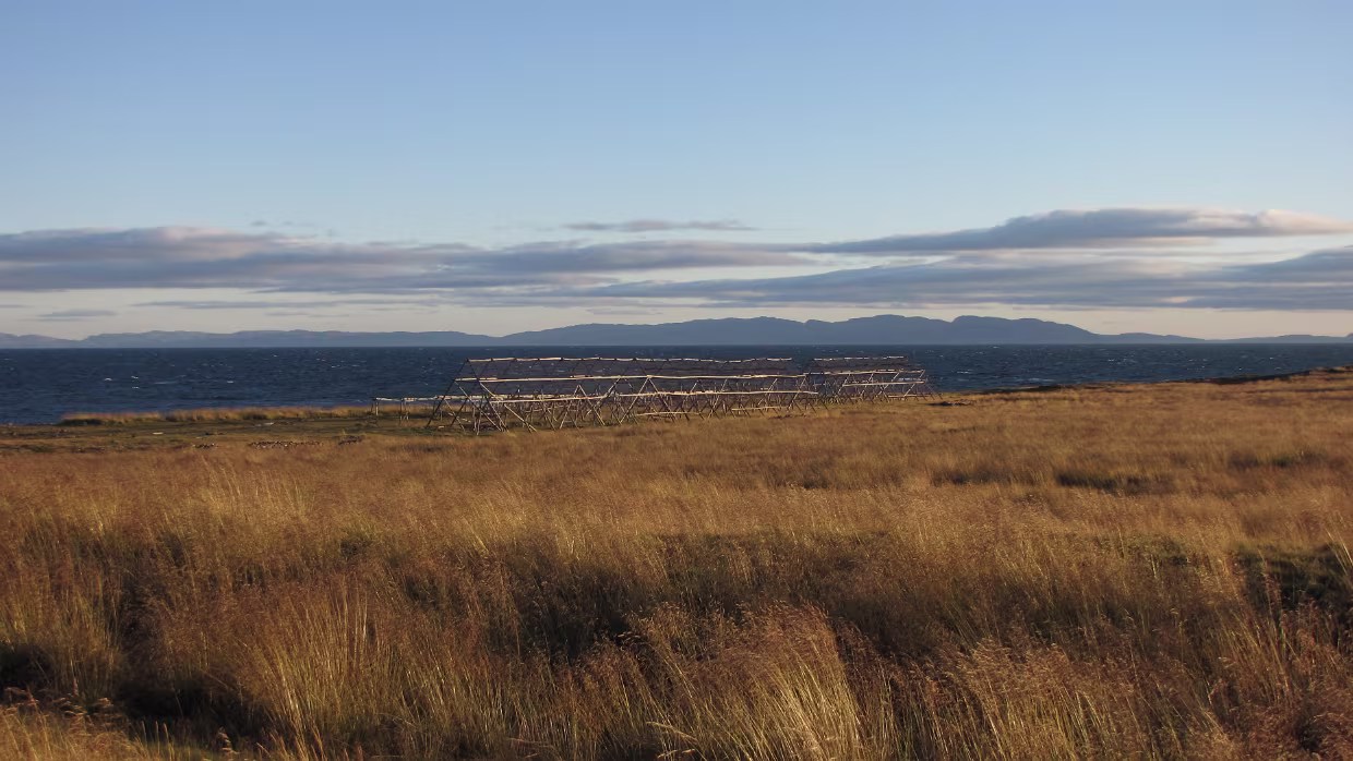 Ekkerøy