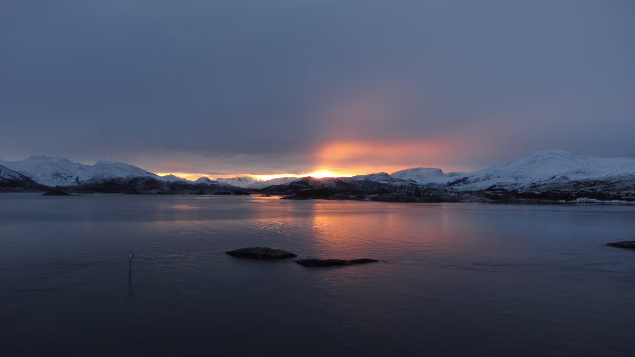 Røyra