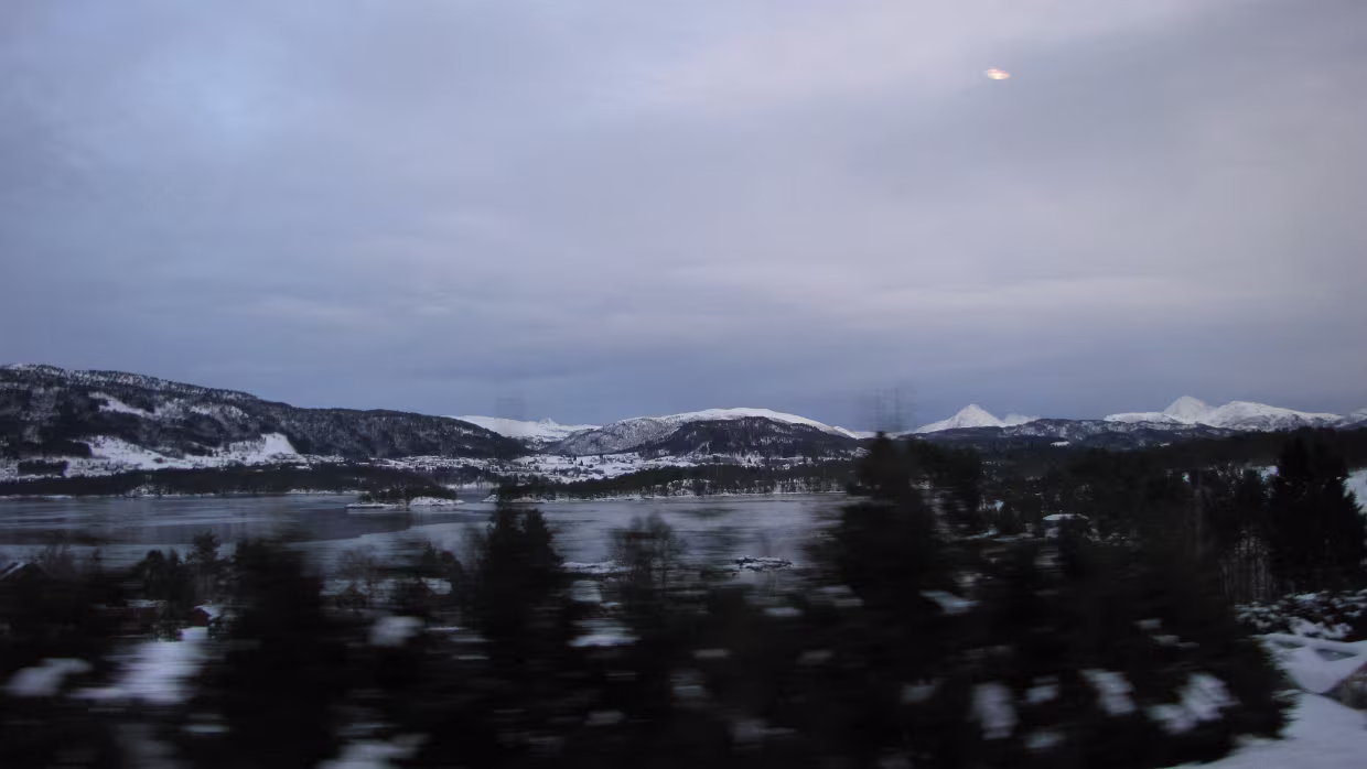 Tyssagardane