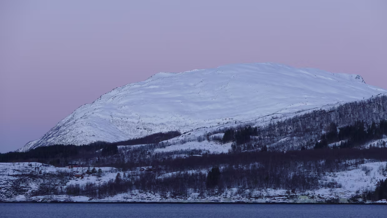 Styrkesvik