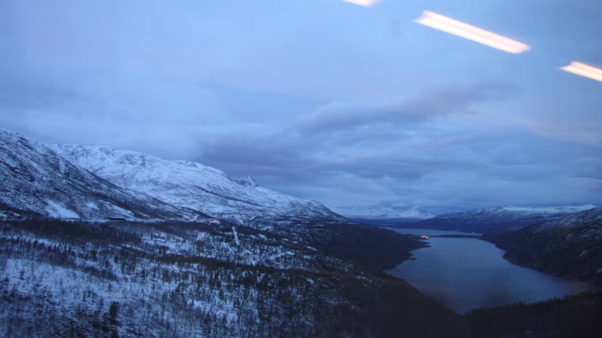 Tyttebærvik