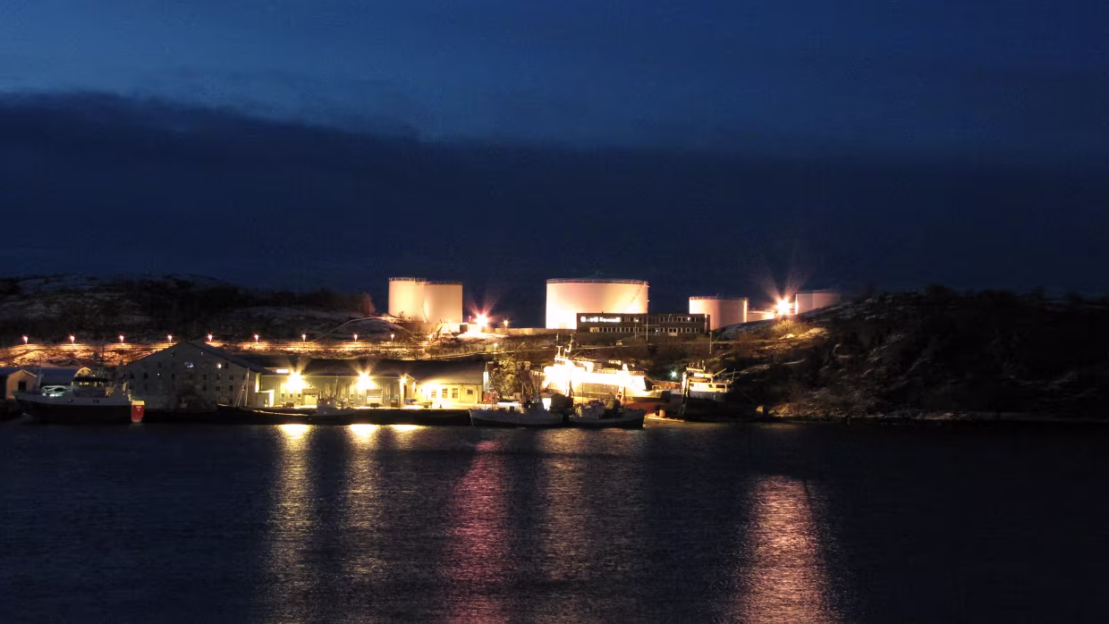 Kortneset