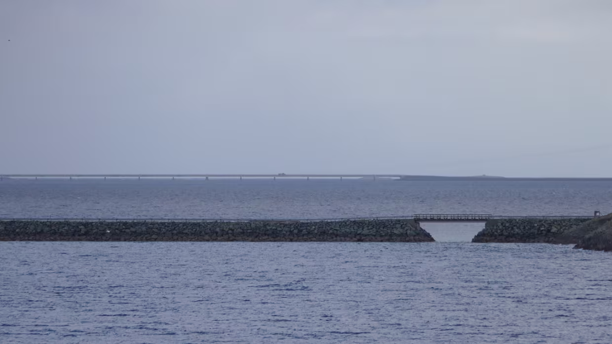 Sørleksa