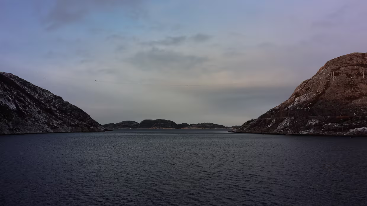 Brattjær