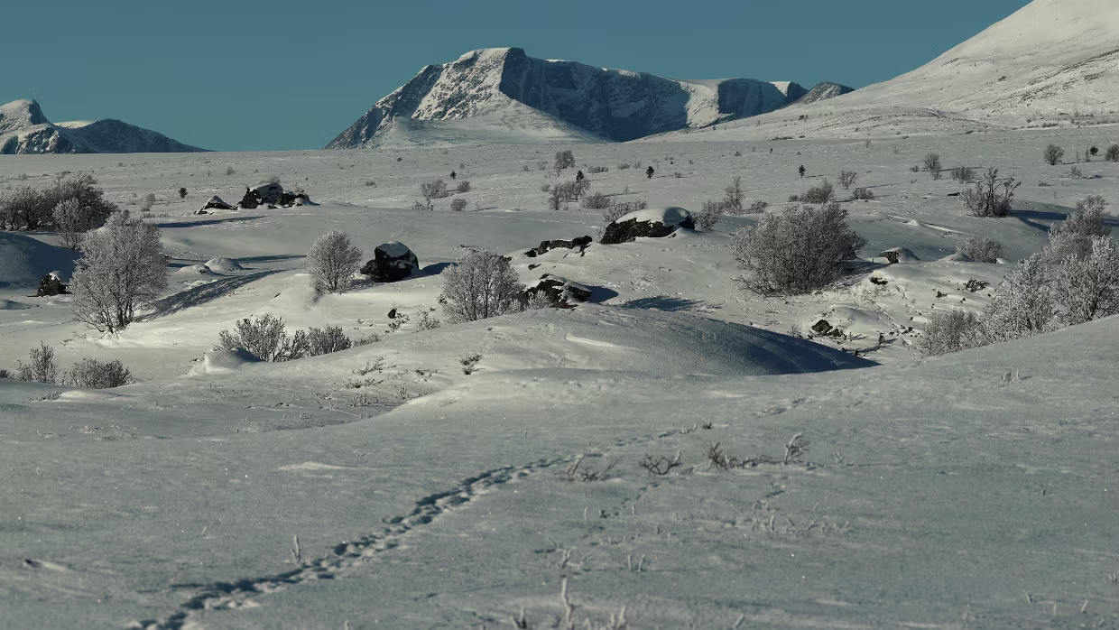 Kongsvoll