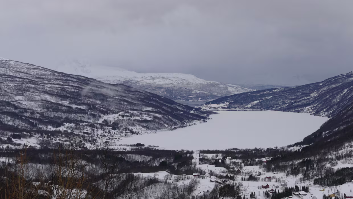 Fjordbotn