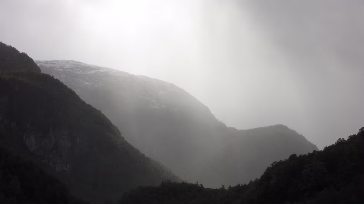Berekvam