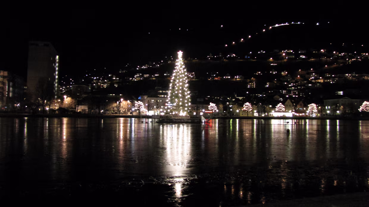 Nygård