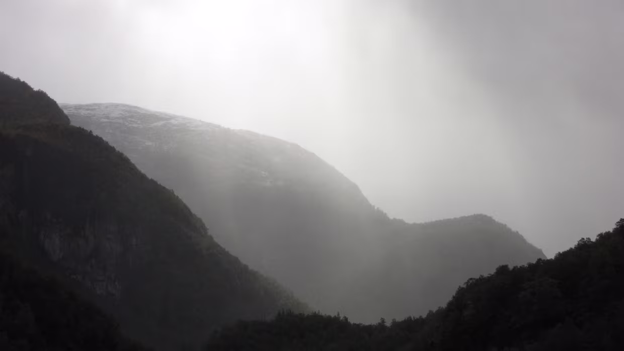 Berekvam