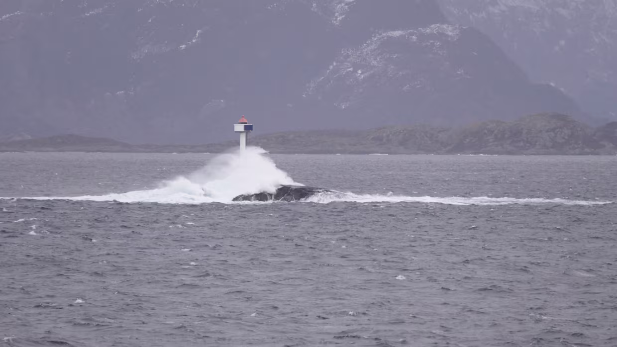 Hærland