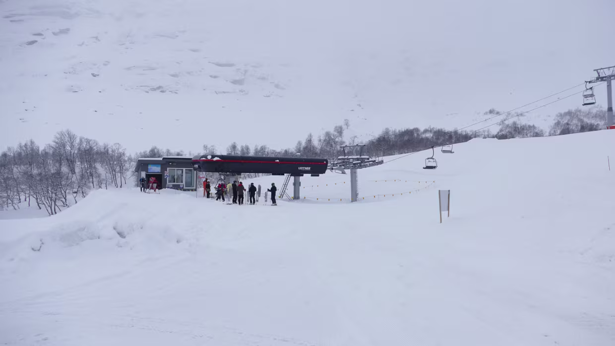 Håra