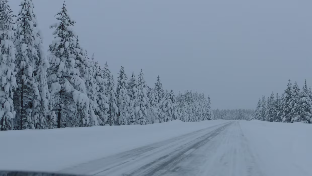 Slagnäs